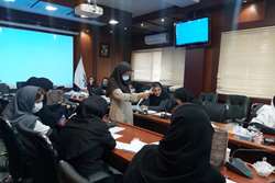 برگزاری کارگاه آموزشی دستورالعمل تکمیل فرمهای  ASQ3و ASQ:SE برای بهورزان شبکه بهداشت و درمان اسلامشهر